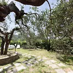 La Dimora Dei Dolci Ricordi Trasimeno Hideaway Prázdninový dům Casalini (Perugia)