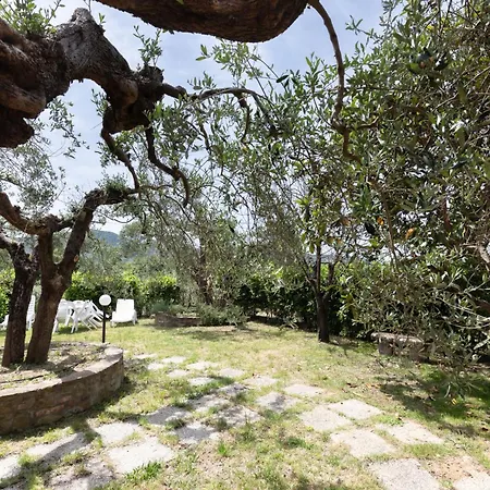 La Dimora Dei Dolci Ricordi Trasimeno Hideaway 別荘 Casalini (Perugia)